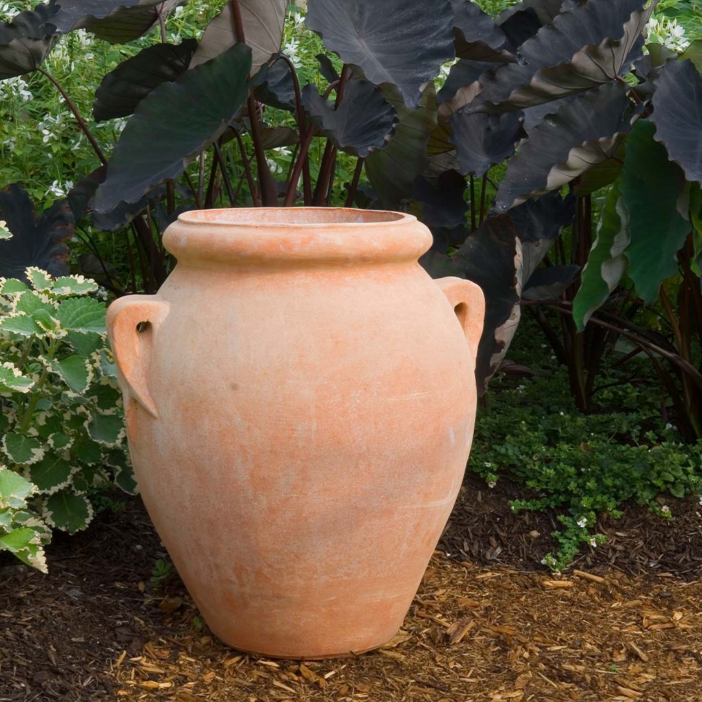 olive pot planter Olive Oil Jar with Handles