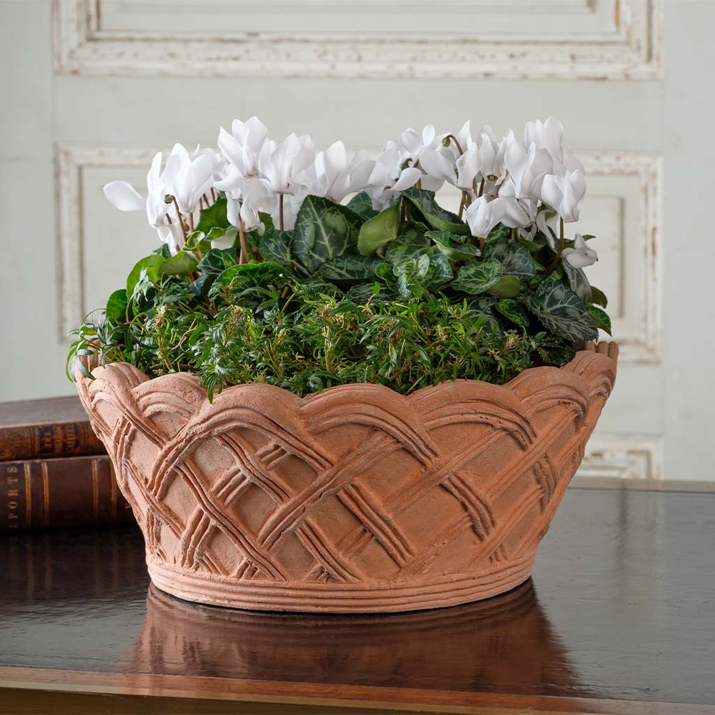 Vimini Planter – Seibert-Rice