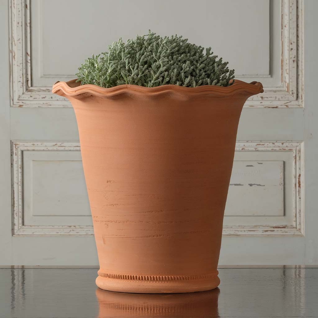 Domenico Planter – Seibert-Rice