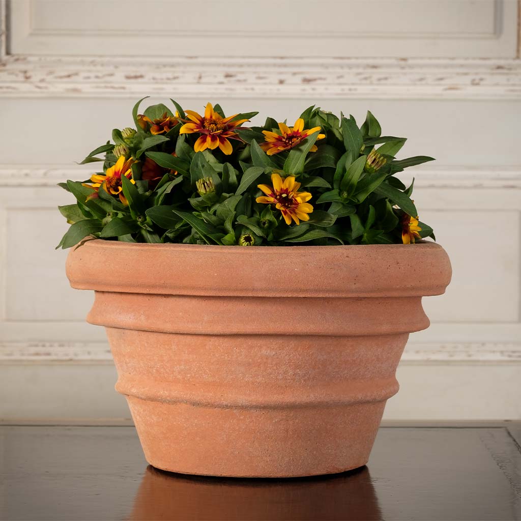 squat pot for plants Squat Rolled Rim Planter Squat Rolled Rim Planter - 24" | Handmade Terra Cotta