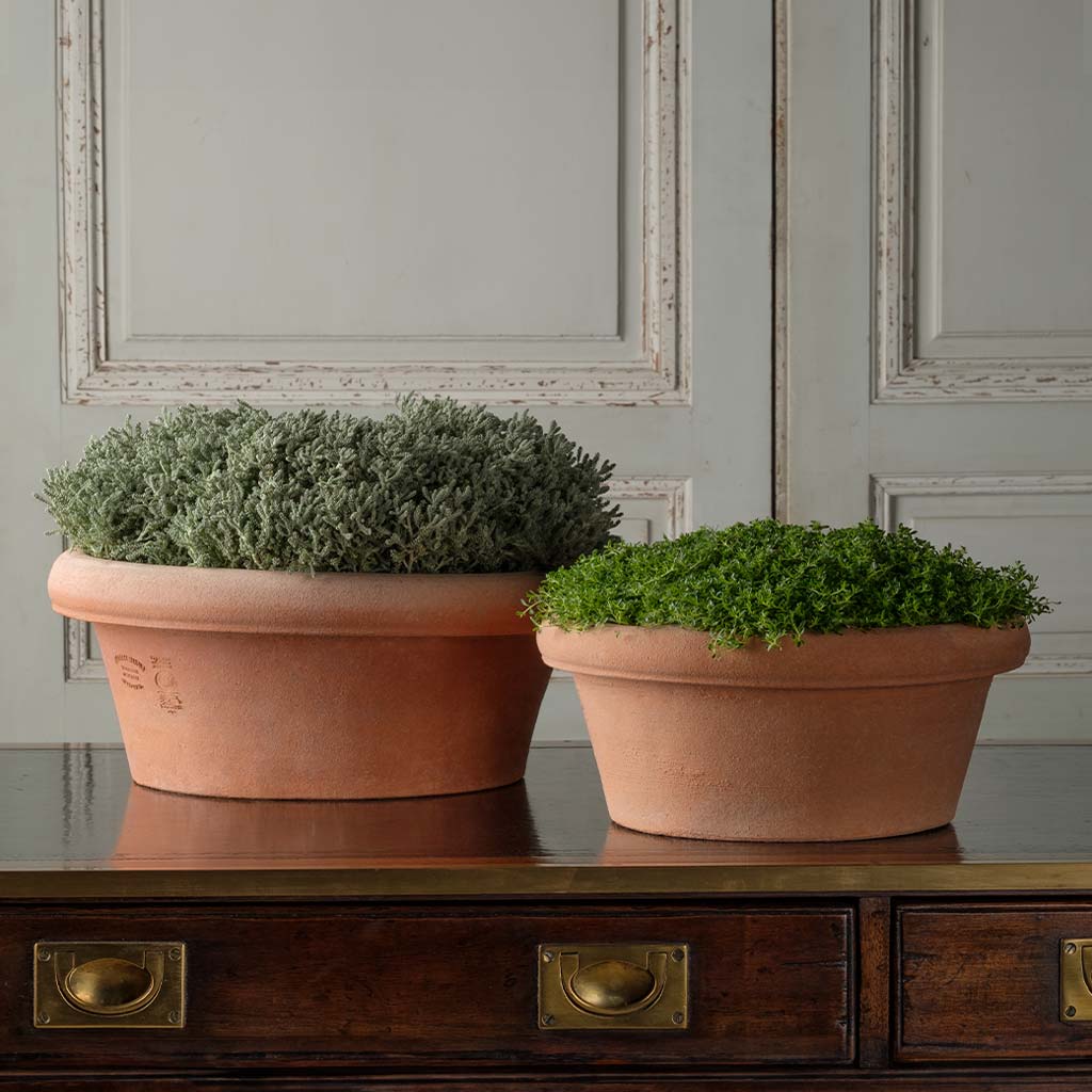 low bowl planter pots Classic Low Bowl
