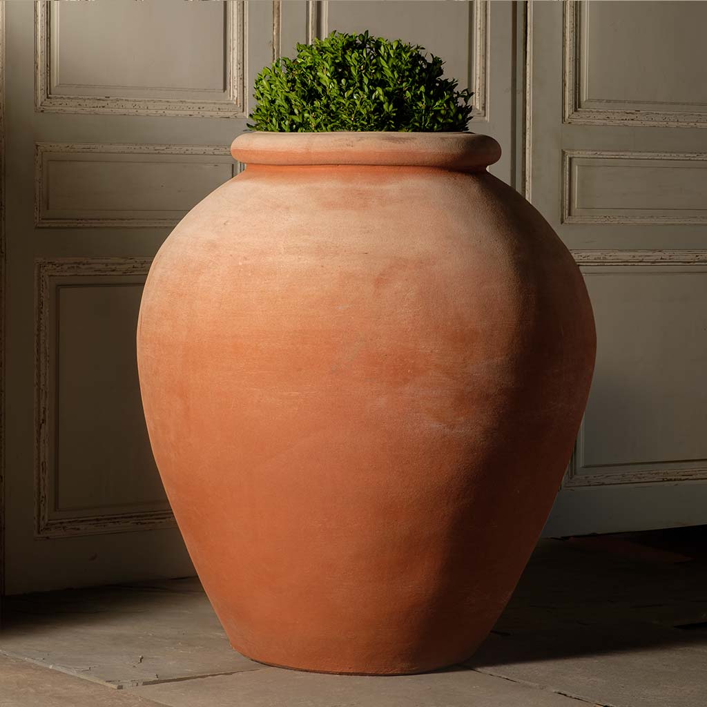 Large Enez Olive Oil Pot - Pottery/Ceramics