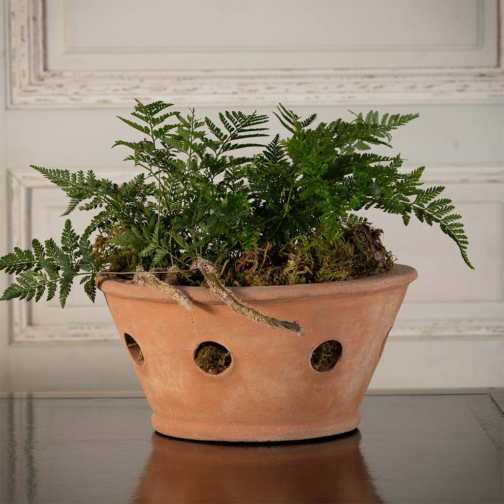 indoor orchid planter Orchid Pot by Abbie Zabar | Handmade Terra Cotta