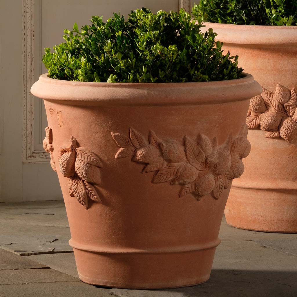 Lemon Planter