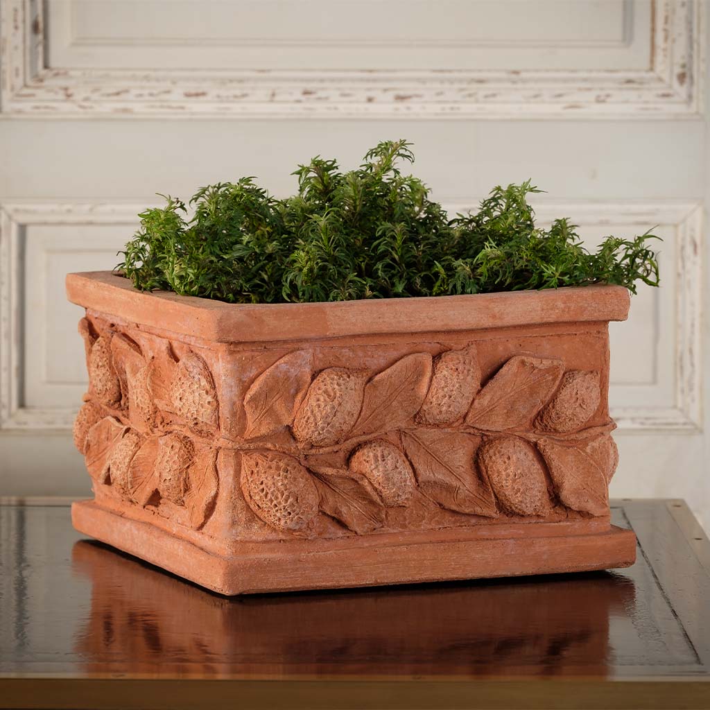 square planter boxes indoor Square Lemon Box | Handmade Terra Cotta