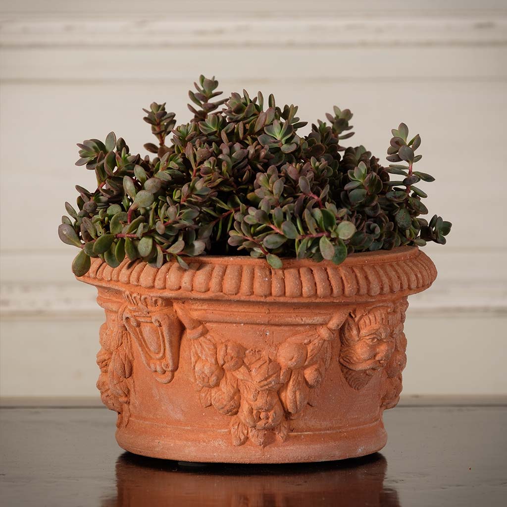 ornamental plant pots Ornamental Bulb Pot | Handmade Terra Cotta