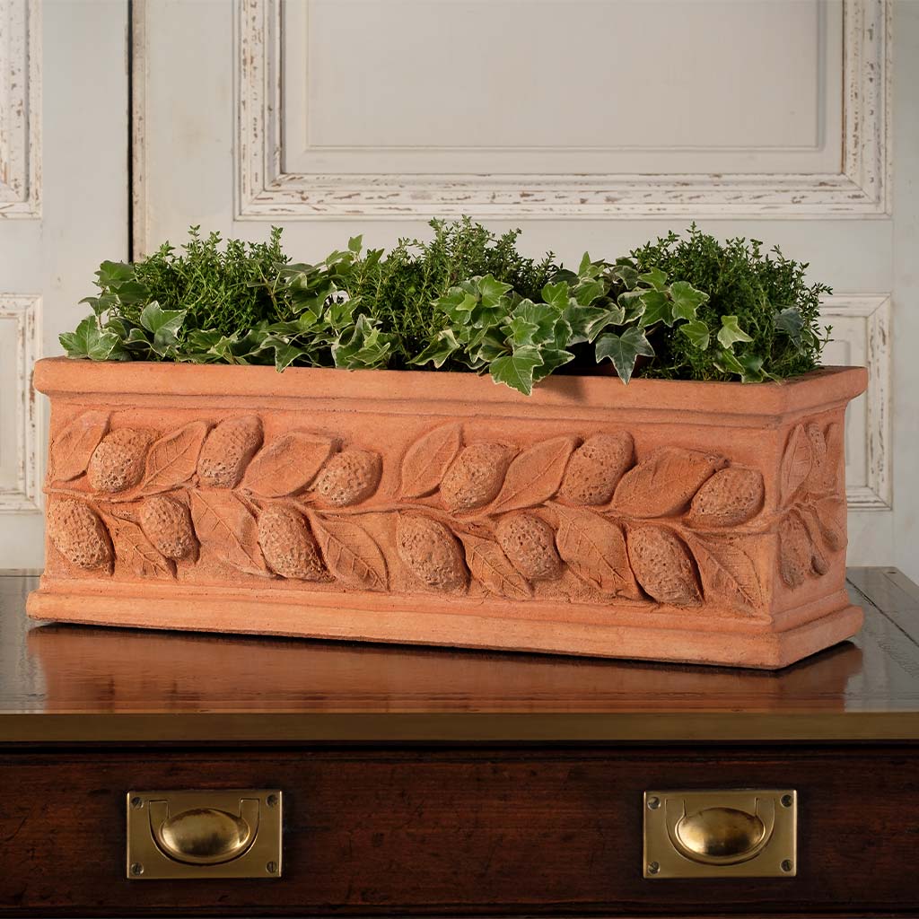 planter box saucer Lemon Flower Box | Handmade Terra Cotta