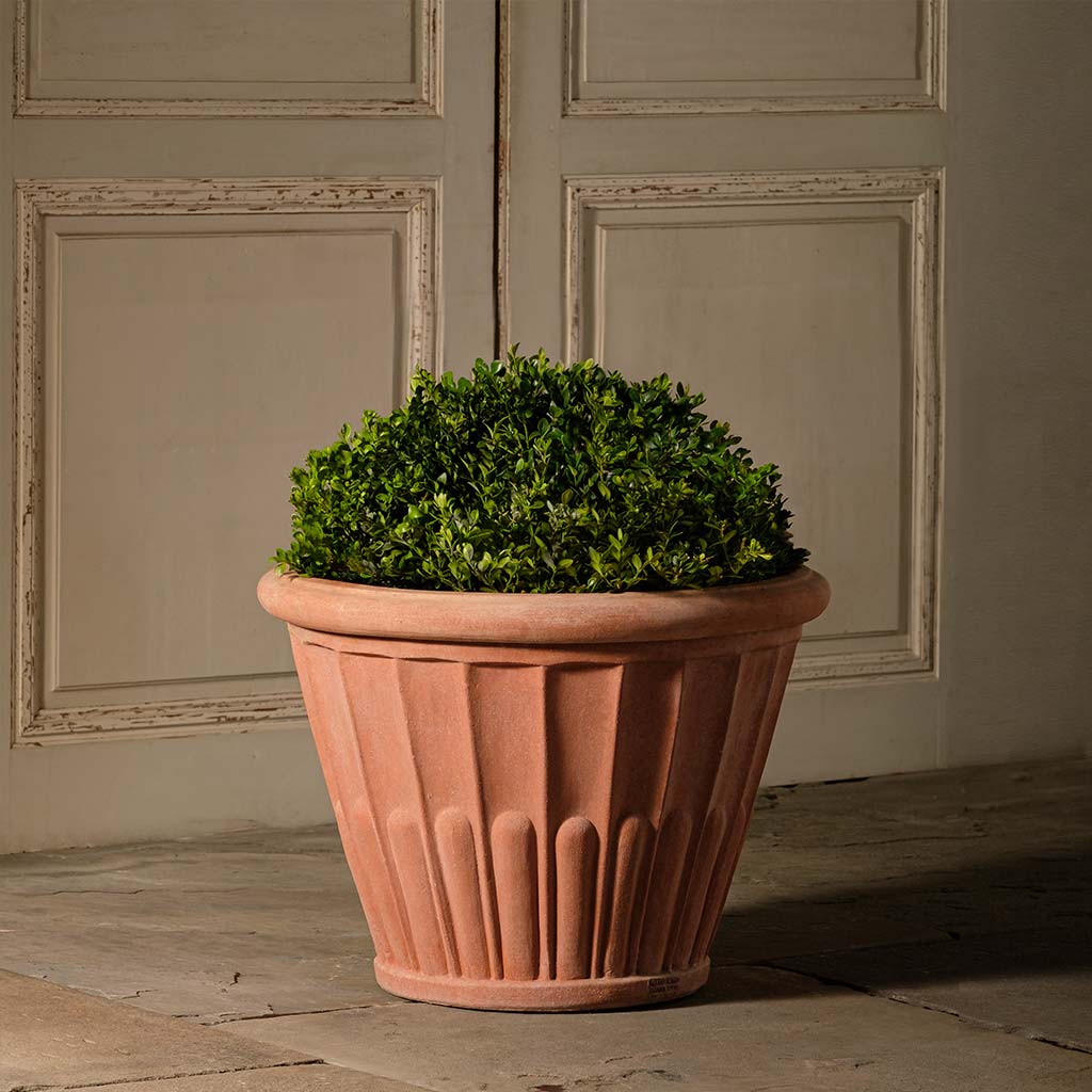 DBL RIMMED ITALIAN PLANTERS (8 pots total) - Campo de' Fiori - Naturally  mossed terra cotta planters, carved stone, forged iron, cast bronze,  distinctive lighting, zinc and more for your home and garden.