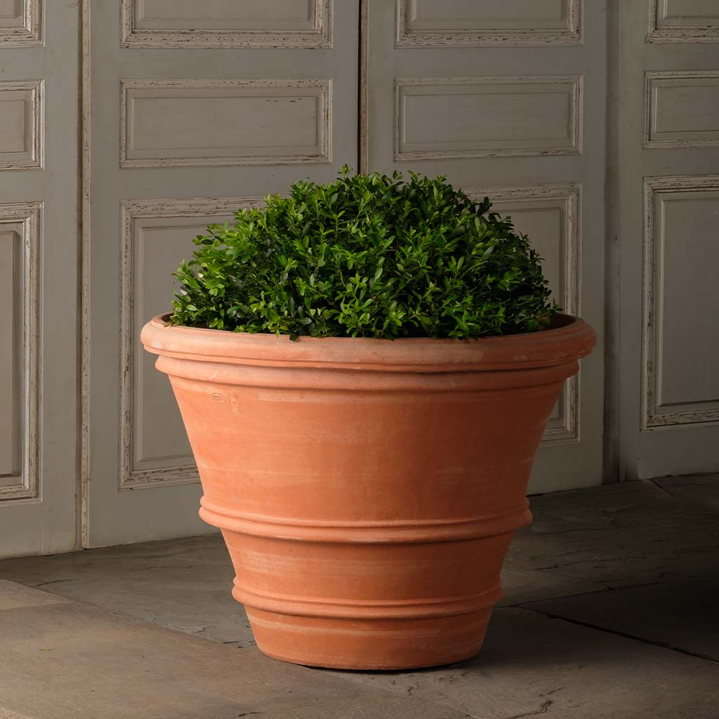 large outdoor terracotta plant pots Molded Rolled Rim Planter Molded Rolled Rim Planter - 42" | Handmade Terra Cotta
