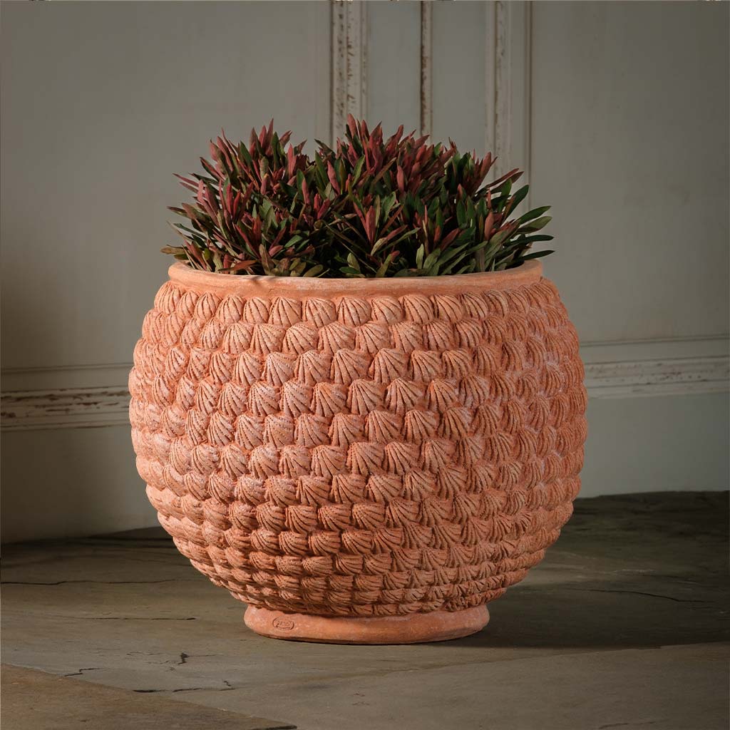 terracotta pot planter Shell Pot | Handmade Terra Cotta