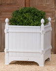 Versailles Planter- Glace Blanche