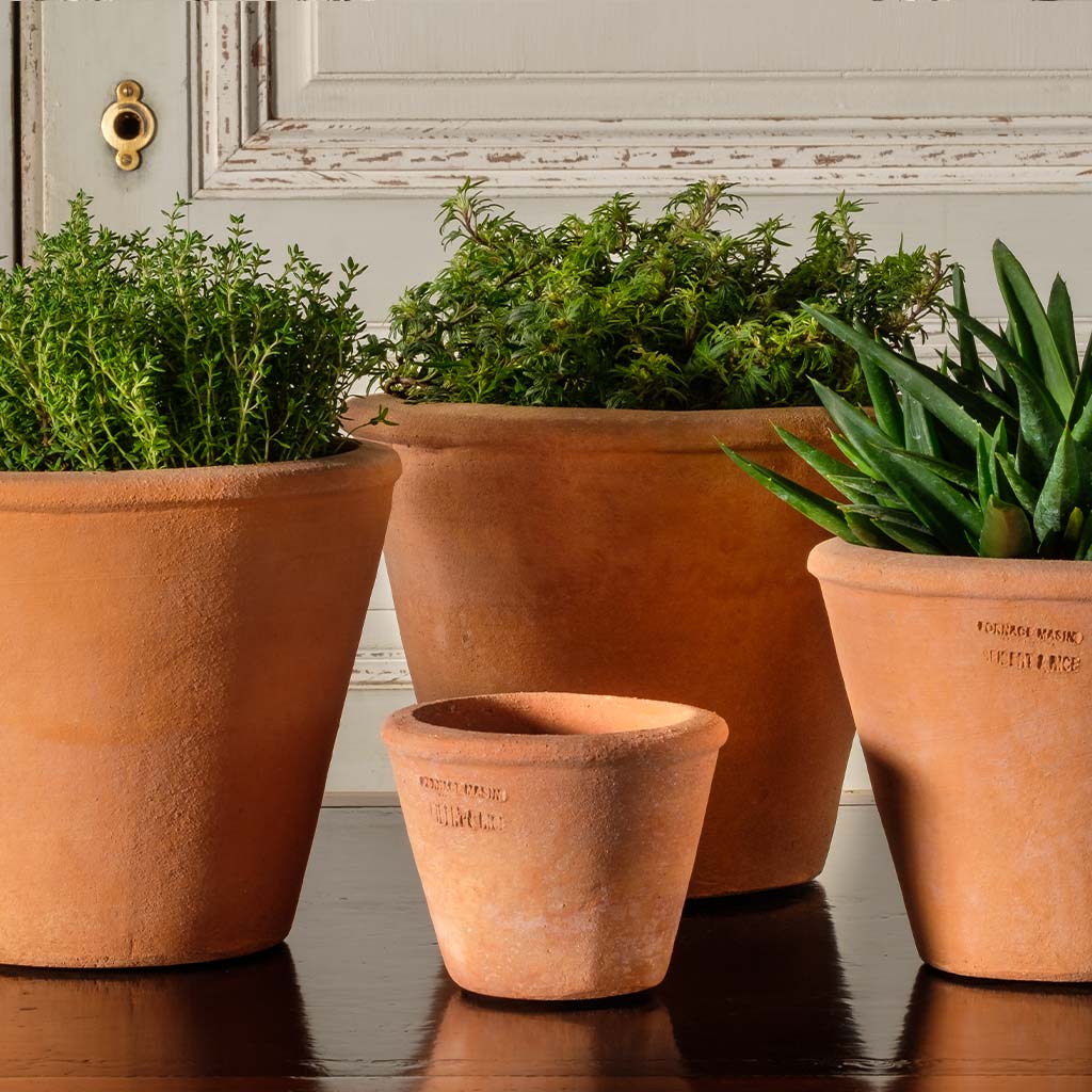 6 inch clay pots for plants Tom Pot Tom Pot - 7" | Handmade Terra Cotta