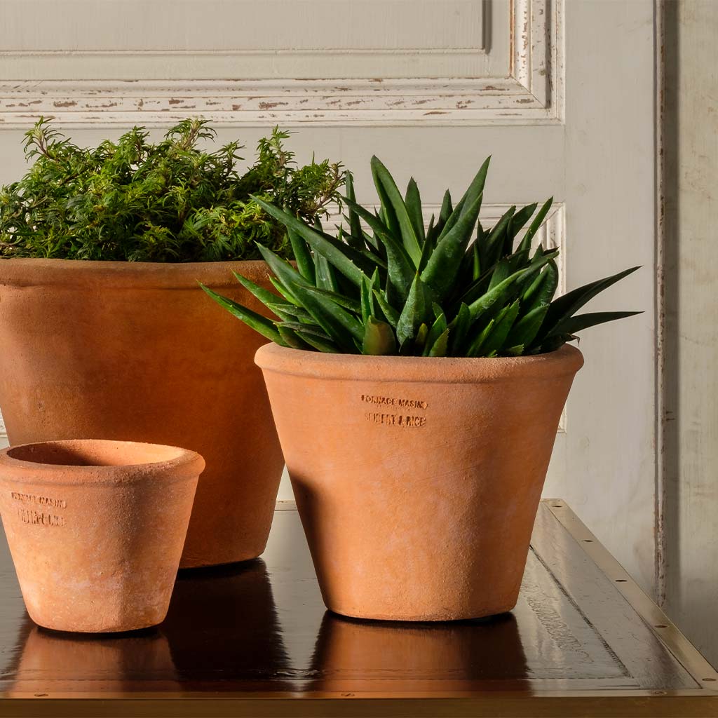 succulent terracotta pots Tom Pot Tom Pot - 7" | Handmade Terra Cotta