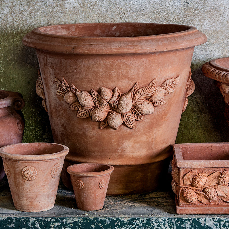 THE ITALIAN COLLECTION