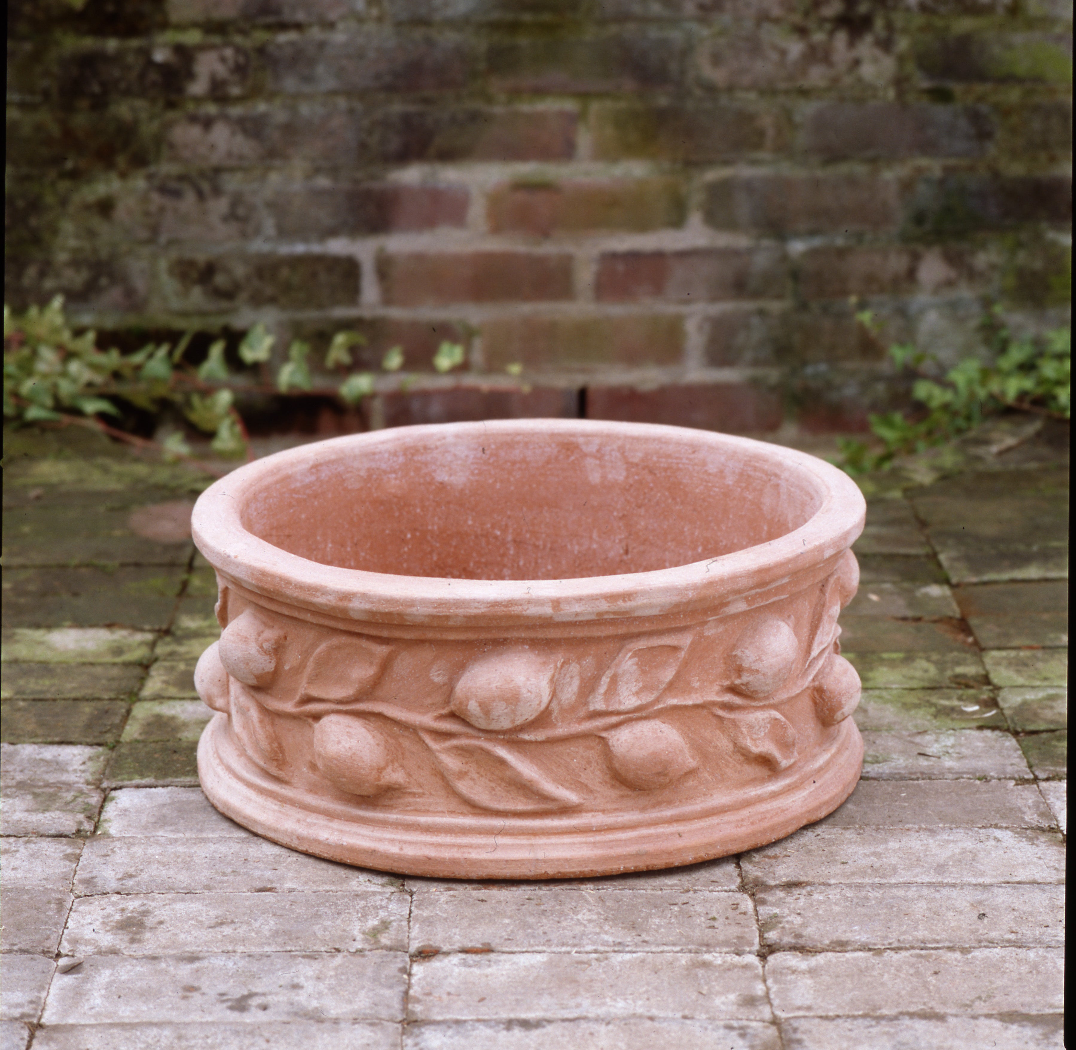 Circular Lemon Planter