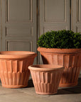 Fluted Flower Pot