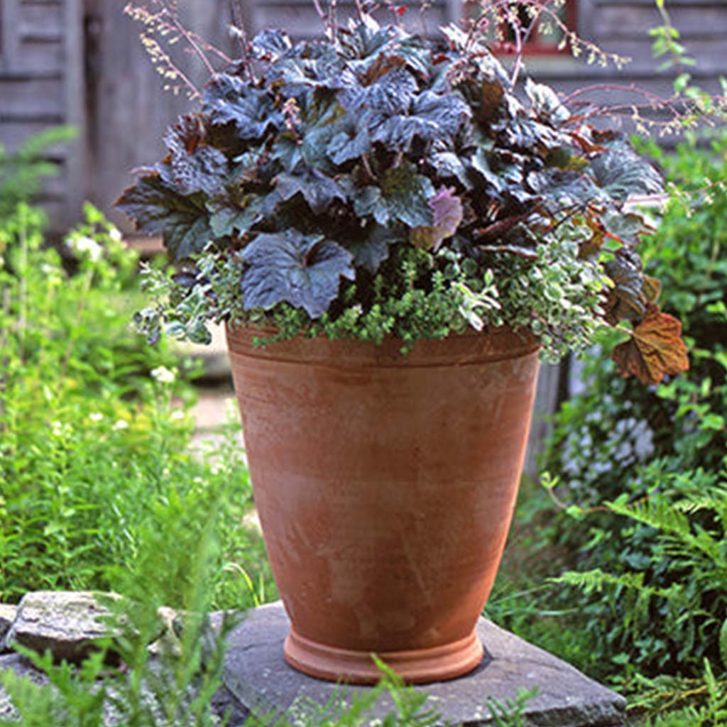 Gertrude Planter by Guy Wolff