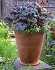 Gertrude Planter by Guy Wolff