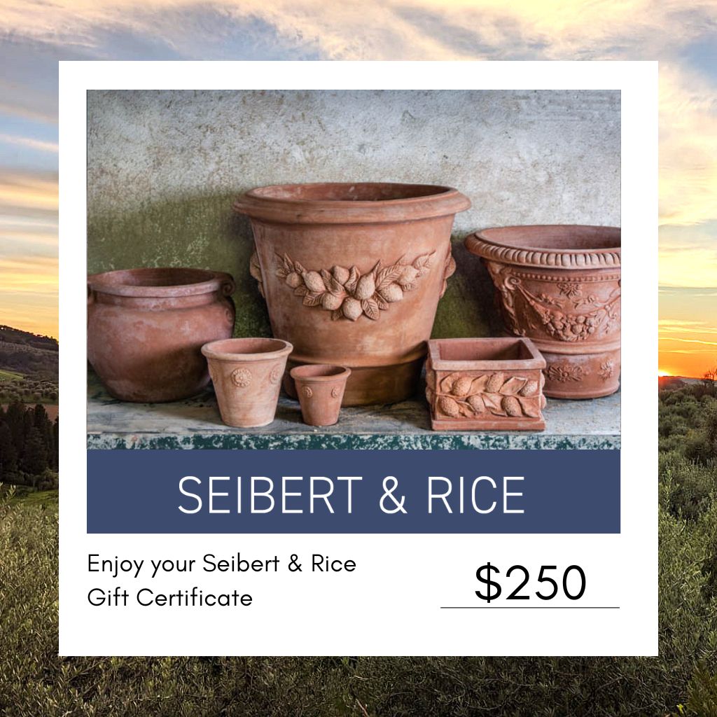 Seibert &amp; Rice Gift Cards