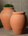 Olive Oil Urn