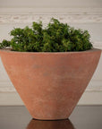 Pink Terra Cotta Konos Pot