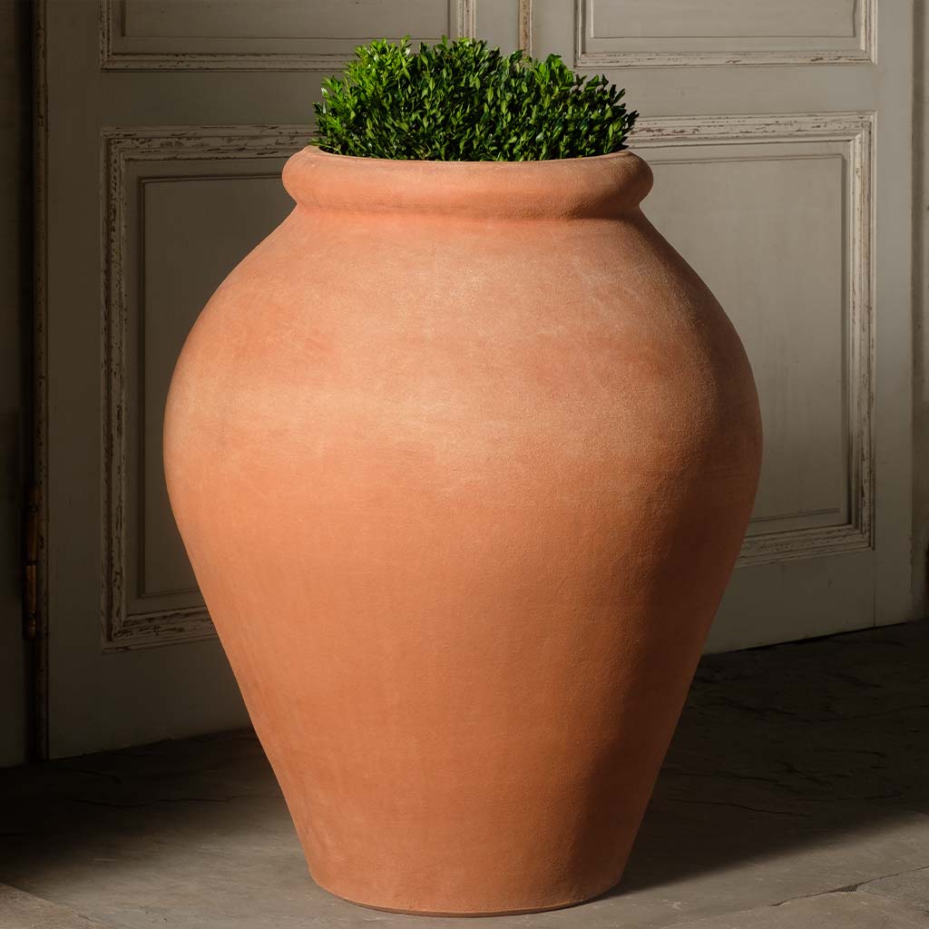 Olive Oil Urn