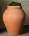 Olive Oil Jars