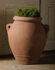Naturale Olive Oil Jar with Handles