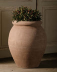 Naturale Olive Oil Jar