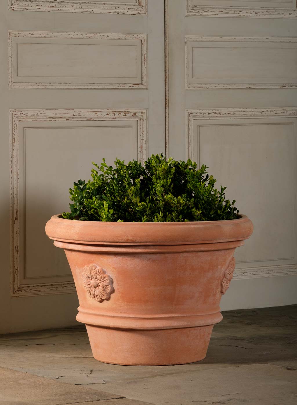 Rolled Rim Vase With Rosette