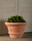 Rolled Rim Vase With Rosette