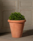 Alto Vase Planter
