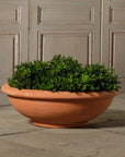 Shallow Bowl