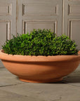 Shallow Bowl