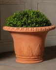Acanthus Leaf Vase