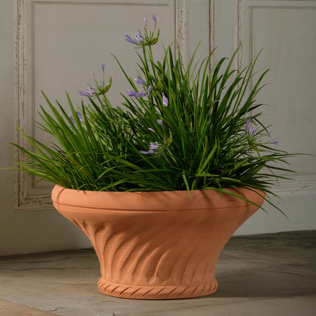 Conservatory Planter by Guy Wolff