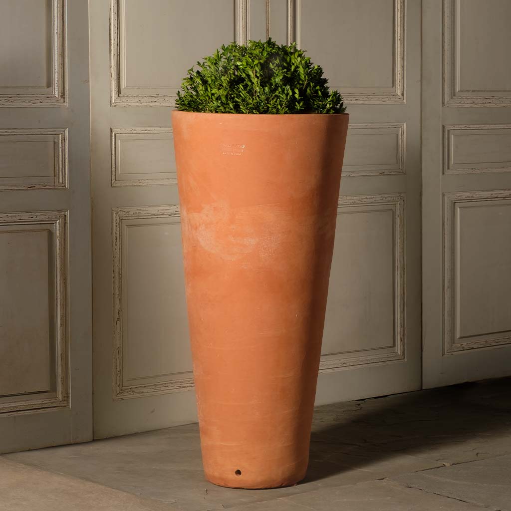 Cone Vase