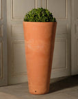 Cone Vase