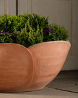 Hellebore Pot by OvS