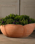 Hellebore Pot by OvS