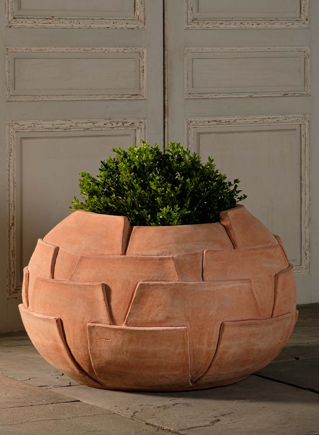 Cardoon Thistle Pot by OvS