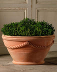 NYBG Anniversary Planter