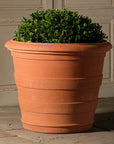 Mantua Pot