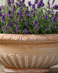 Lavanda Bowl