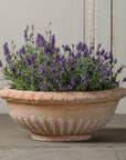 Lavanda Bowl