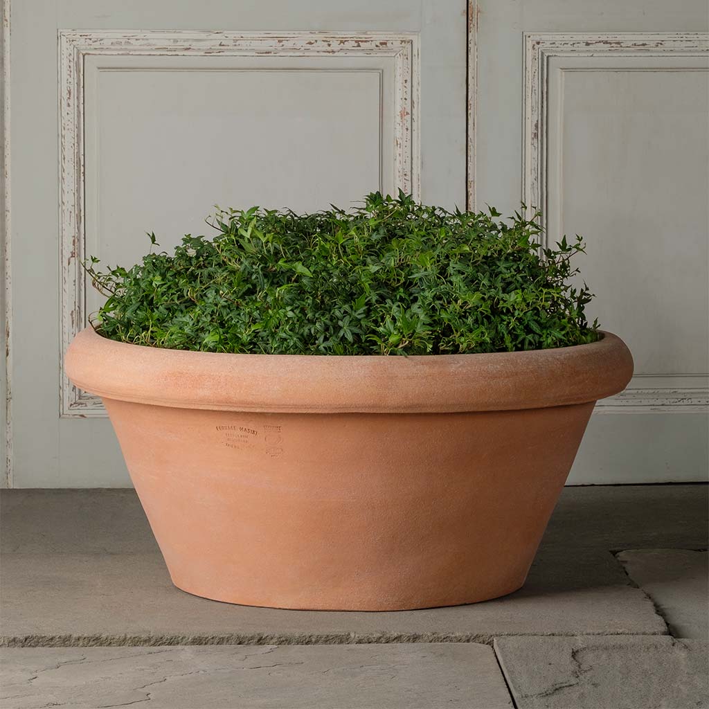 low pot planter Classic Low Bowl
