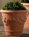 Lemon Planter