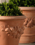 Lemon Planter