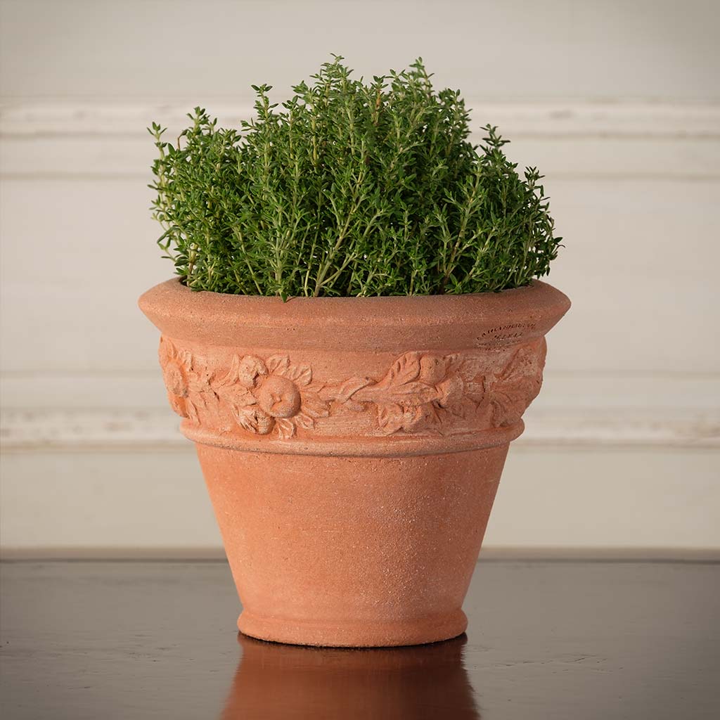 Small Fruit Pot – Seibert-Rice