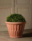 Fluted Flower Pot